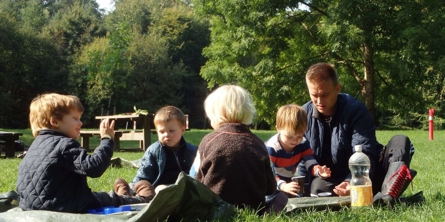 Skovtur i det grønne